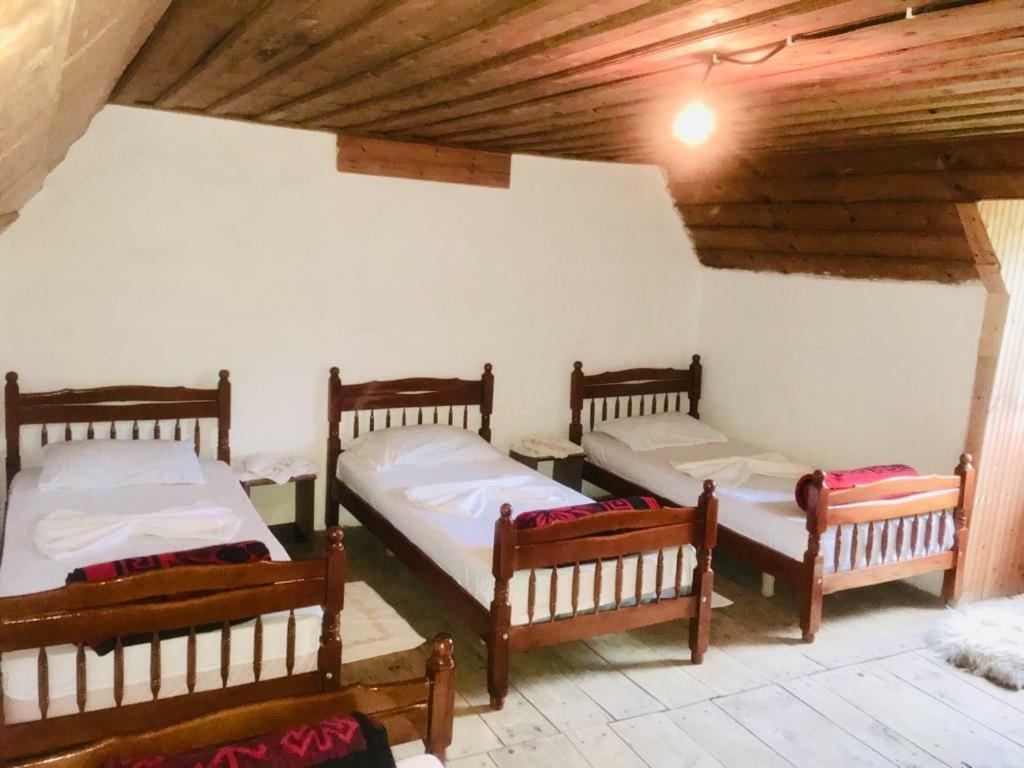 Guesthouse Dritan Tethorja Theth Ngoại thất bức ảnh